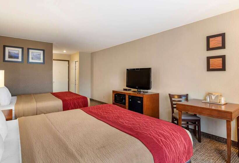 فندق Comfort Inn & Suites