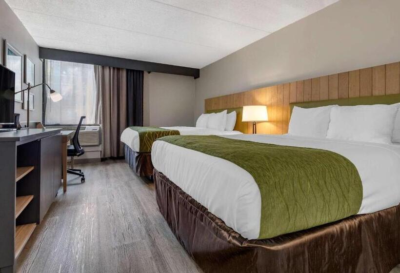 هتل Comfort Inn & Suites