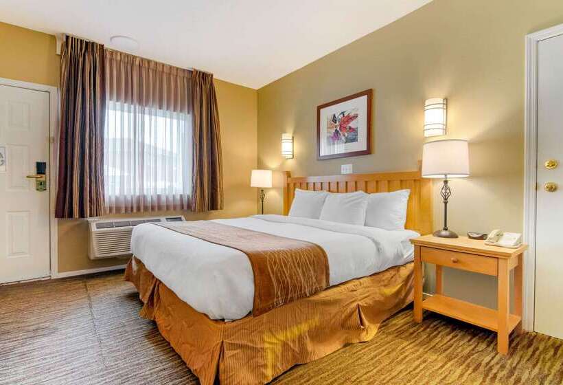 هتل Econo Lodge Inn & Suites