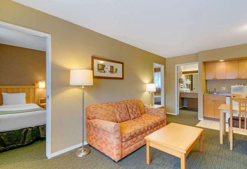 هتل Econo Lodge Inn & Suites
