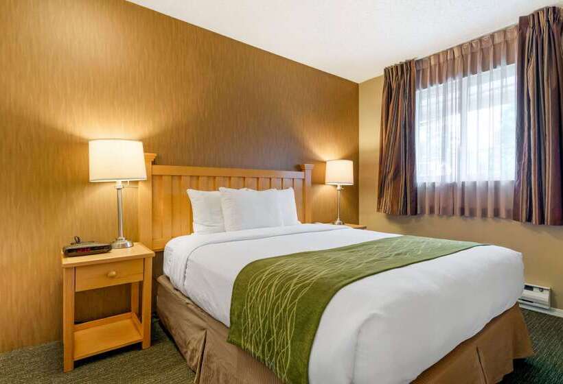 Hotel Econo Lodge Inn & Suites   North Vancouver