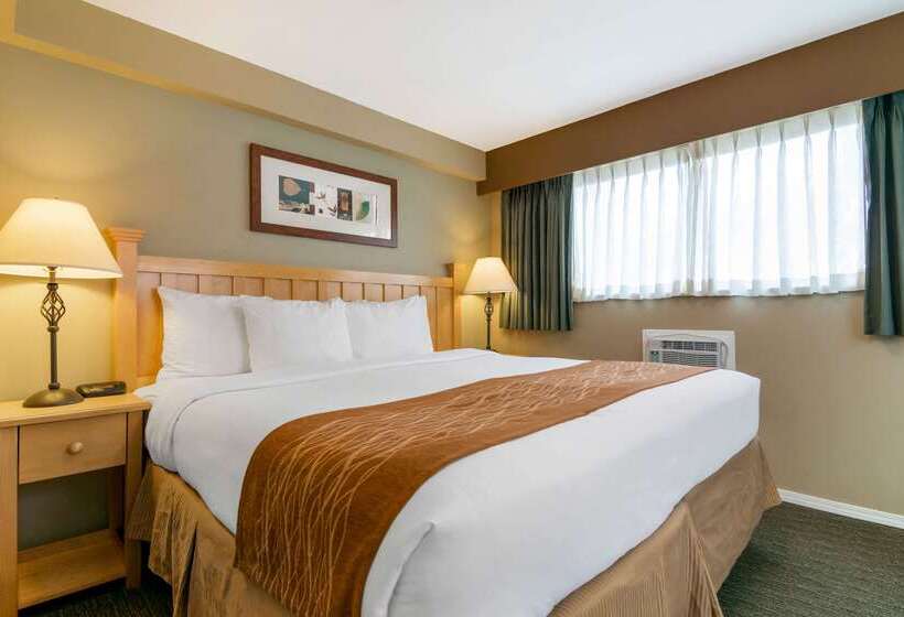 Hotell Econo Lodge Inn & Suites   North Vancouver