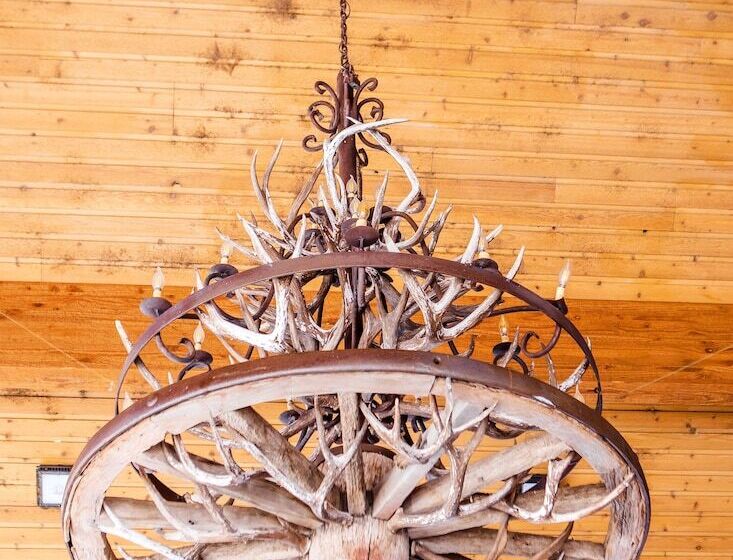 فندق Flying Saddle Resort And Steak House