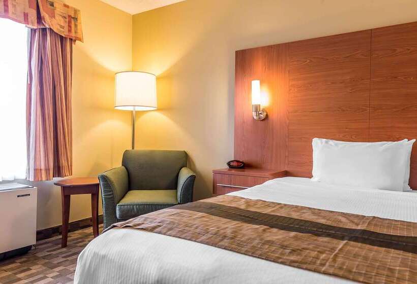 호텔 Quality Inn & Suites