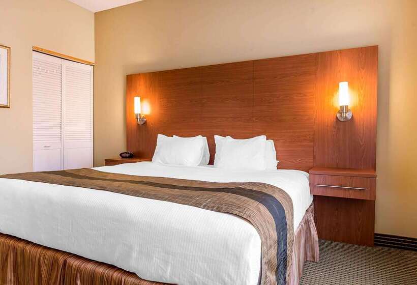 ホテル Quality Inn & Suites