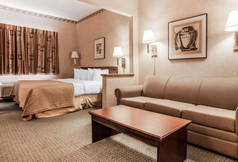 ホテル Quality Inn