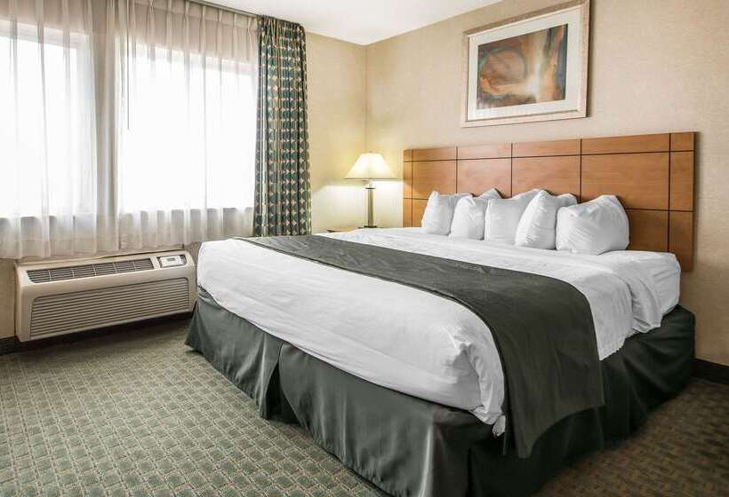 هتل Quality Inn Dubuque On Hwy 20