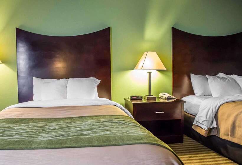 ホテル Quality Inn Mill Hall   Lamar