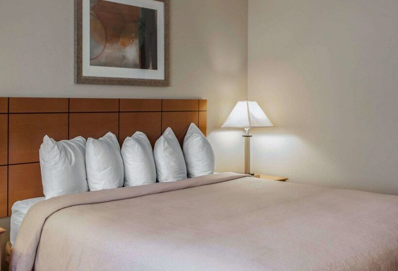 هتل Quality Inn Near I72 And Hwy 51