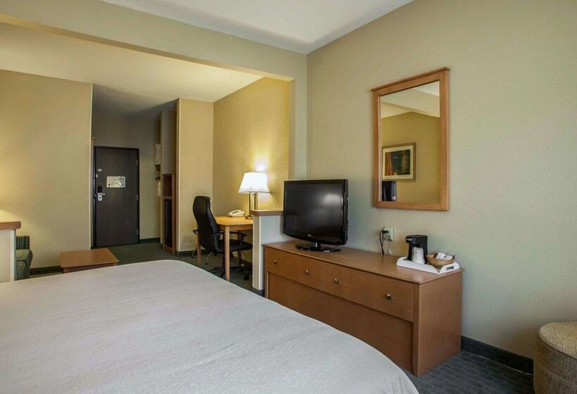 هتل Quality Inn Near I72 And Hwy 51