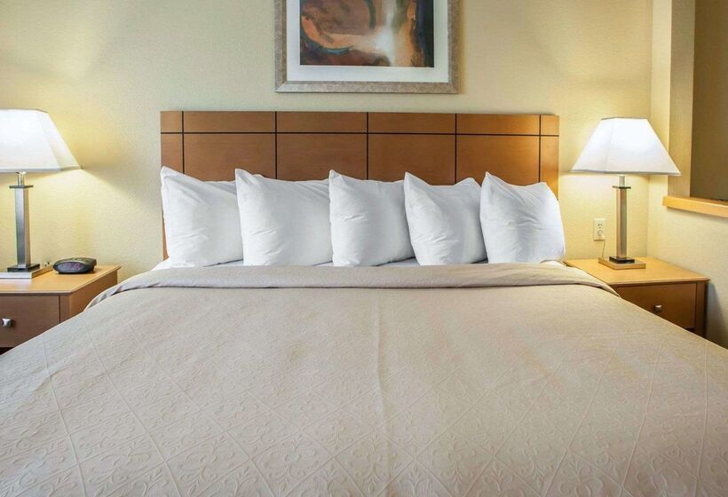 هتل Quality Inn Near I72 And Hwy 51