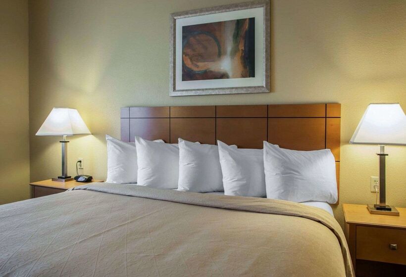 هتل Quality Inn Near I72 And Hwy 51