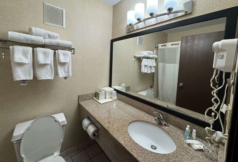 هتل Quality Inn Near I72 And Hwy 51