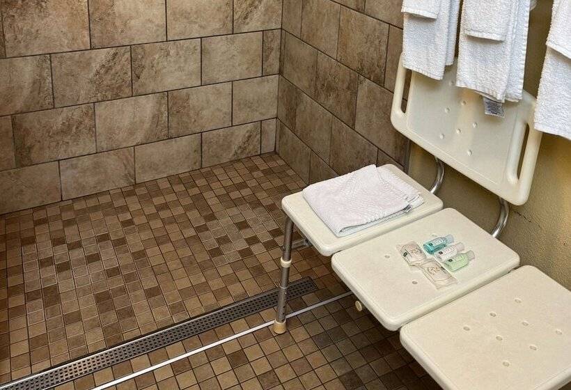 هتل Quality Inn Near I72 And Hwy 51