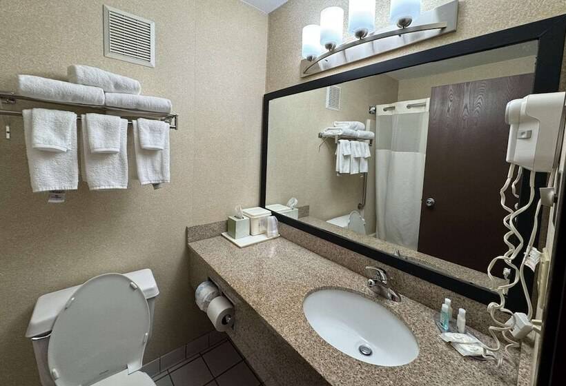 هتل Quality Inn Near I72 And Hwy 51