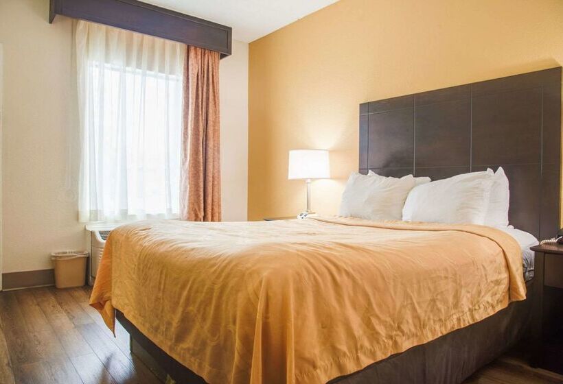 ホテル Quality Inn & Suites Aiken