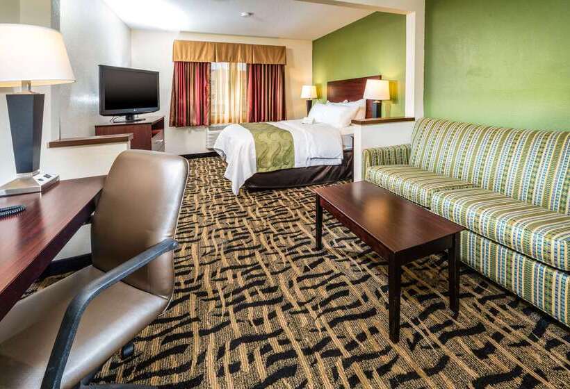 酒店 Quality Inn & Suites