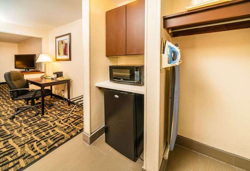 酒店 Quality Inn & Suites