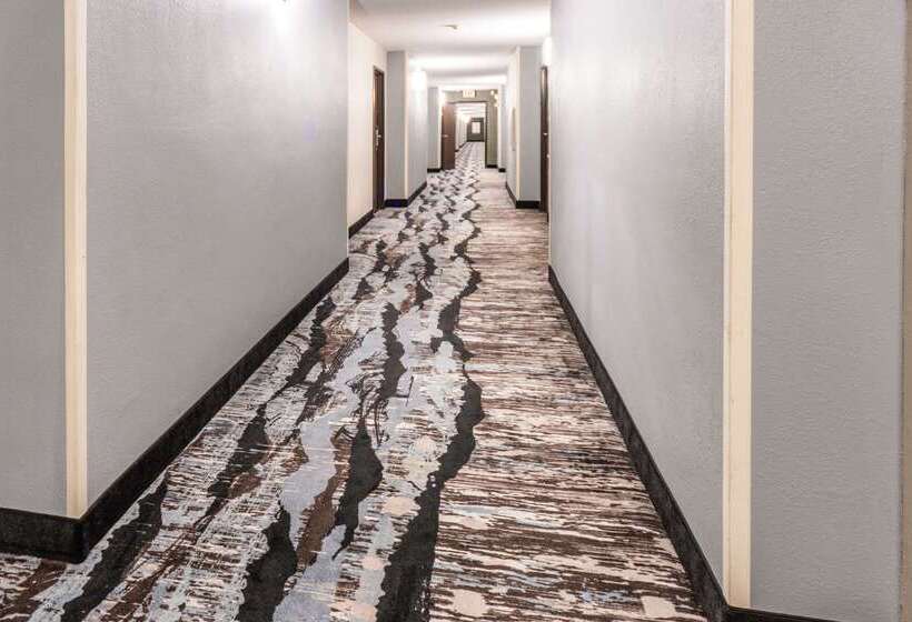 酒店 Quality Inn & Suites