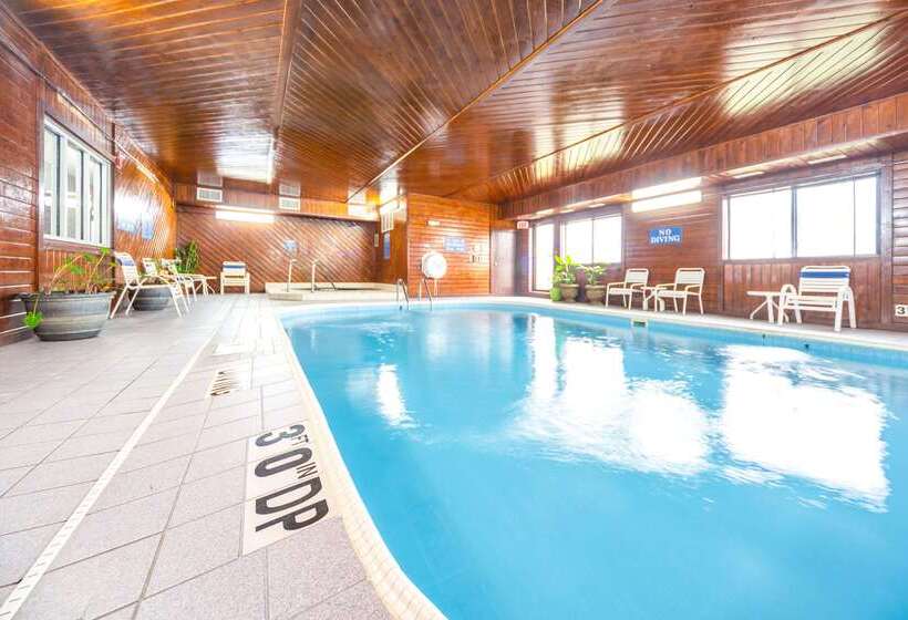 酒店 Quality Inn & Suites