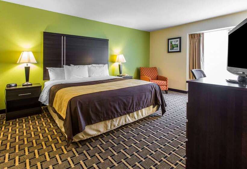 ホテル Quality Inn West Of Asheville