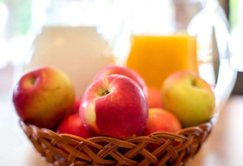 فندق Rodeway Inn