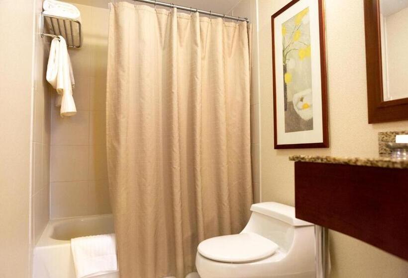 Fotos del hotel San Carlos Hotel New York:  47