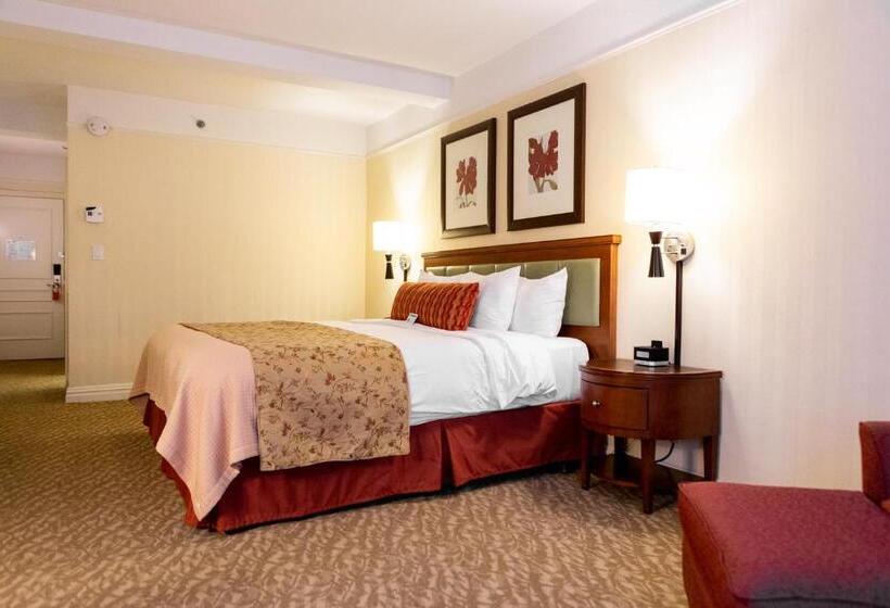 Fotos del hotel San Carlos Hotel New York:  11