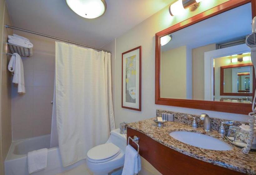Fotos del hotel San Carlos Hotel New York:  18
