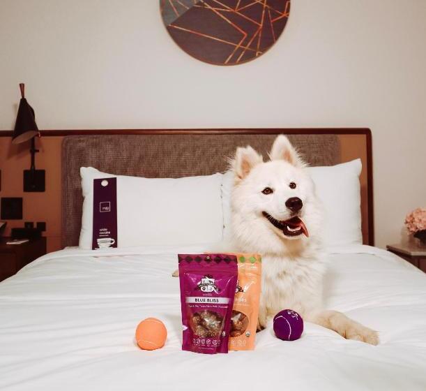 Fotos del hotel The James New York  Nomad:  17