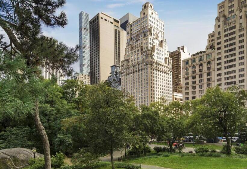 Hotel The Ritz Carlton New York, Central Park