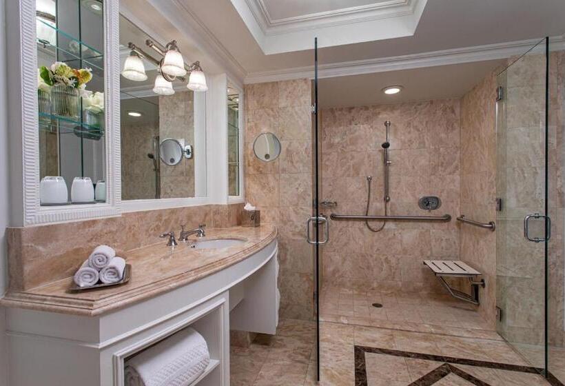 Fotos del hotel The Ritz-carlton New York, Central Park:  29