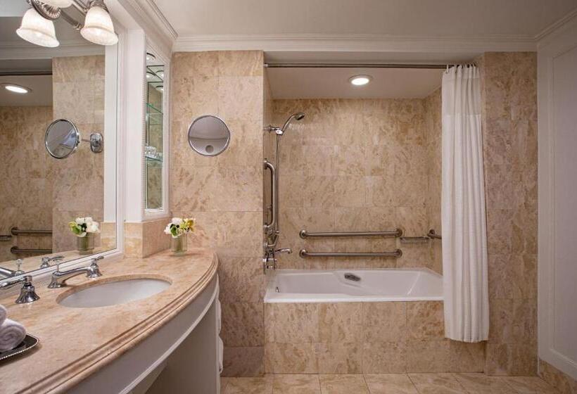 Fotos del hotel The Ritz-carlton New York, Central Park:  20
