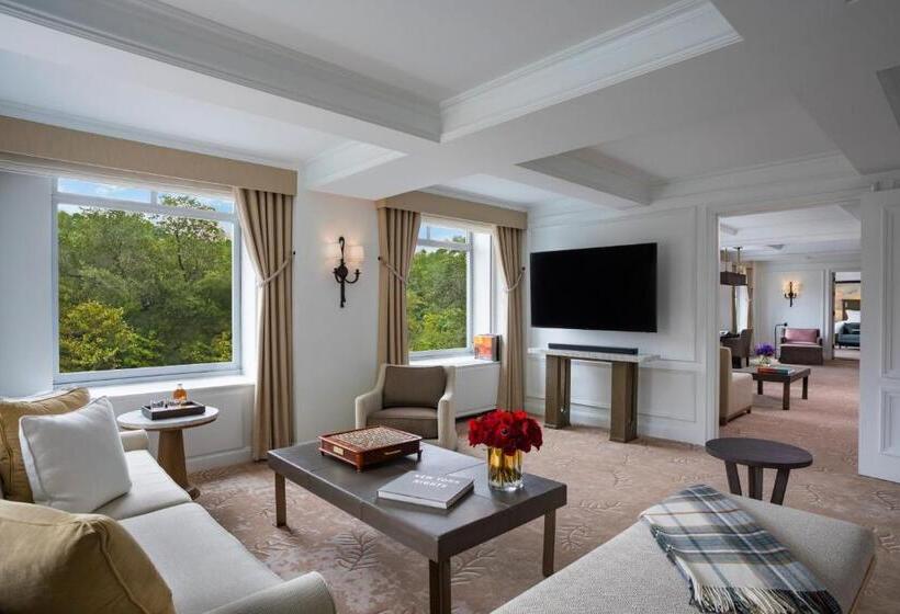 هتل The Ritz Carlton New York, Central Park