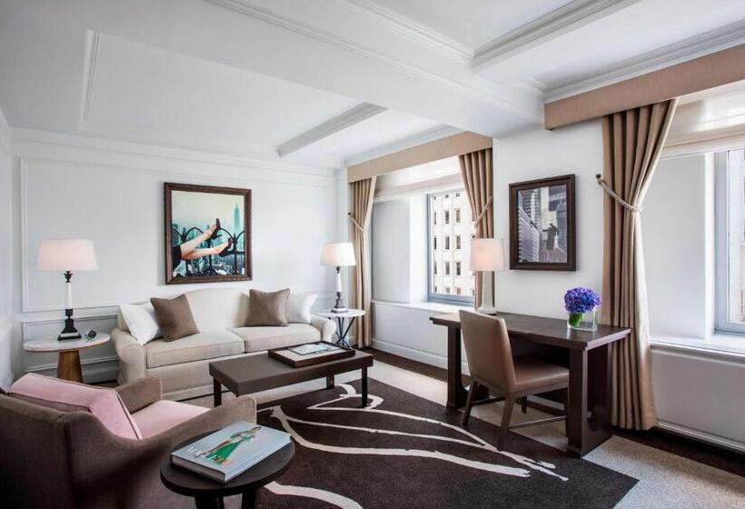 Fotos del hotel The Ritz-carlton New York, Central Park:  34
