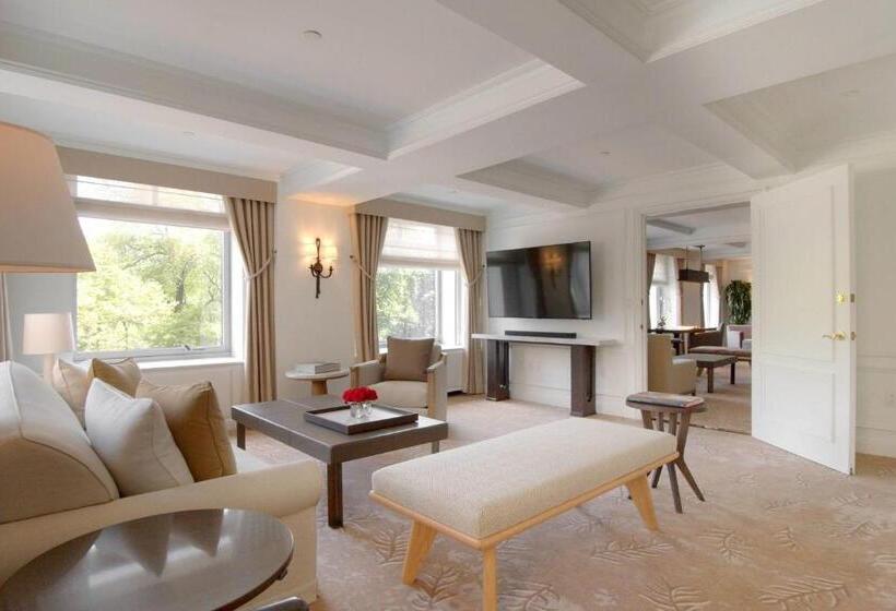 Fotos del hotel The Ritz-carlton New York, Central Park:  40