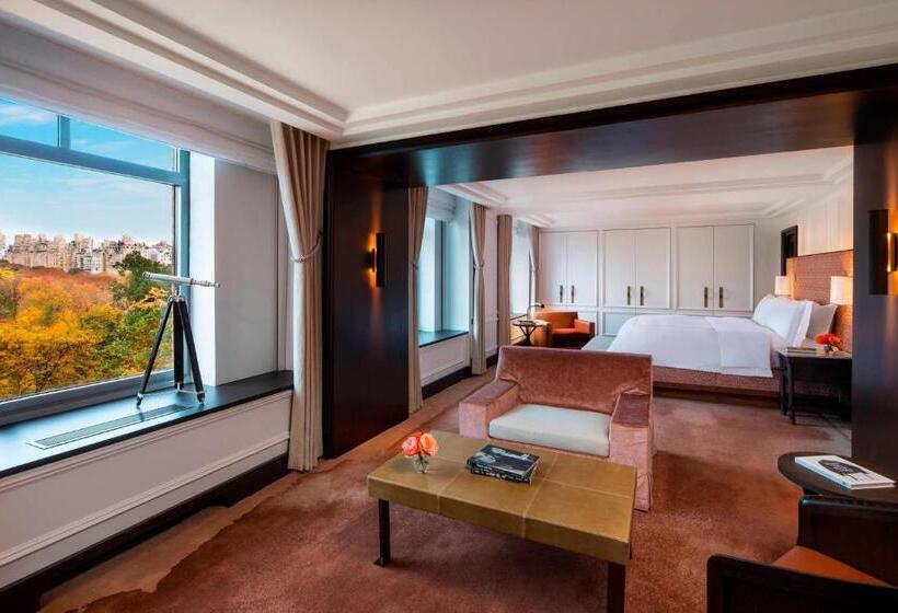 Fotos del hotel The Ritz-carlton New York, Central Park:  58