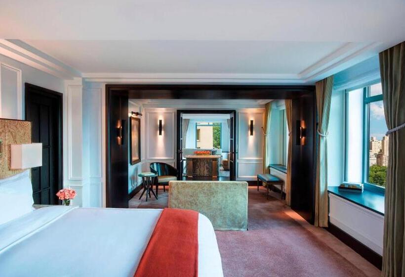 هتل The Ritz Carlton New York, Central Park