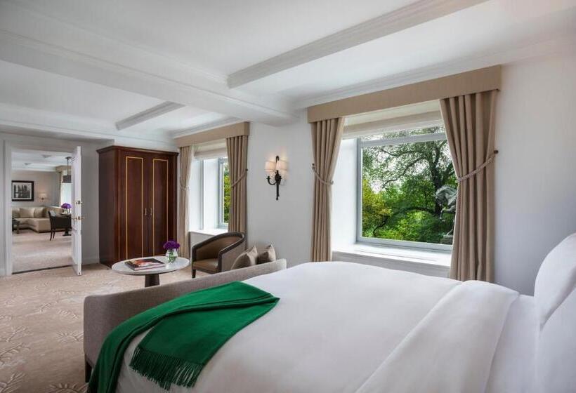Fotos del hotel The Ritz-carlton New York, Central Park:  10