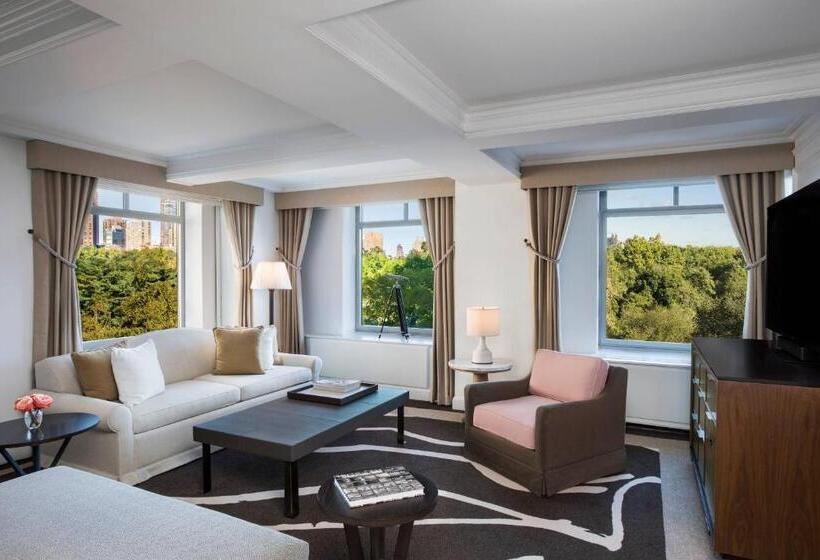 Fotos del hotel The Ritz-carlton New York, Central Park:  41