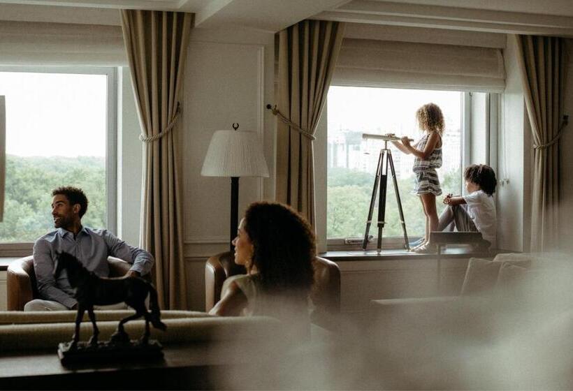 Fotos del hotel The Ritz-carlton New York, Central Park:  49