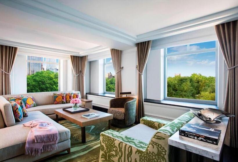 هتل The Ritz Carlton New York, Central Park