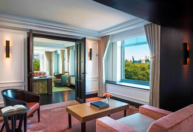 Hotel The Ritz Carlton New York, Central Park