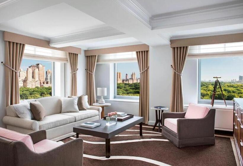 Fotos del hotel The Ritz-carlton New York, Central Park:  28