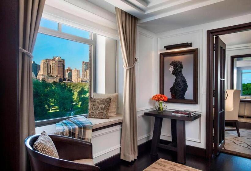 酒店 The Ritz Carlton New York, Central Park