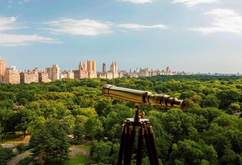 酒店 The Ritz Carlton New York, Central Park