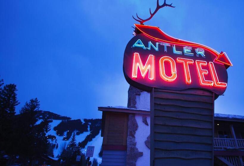 مُتل Antler Inn