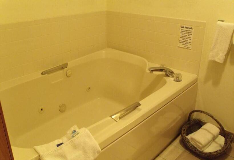 ホテル Americas Best Value Inn And Suites   Nevada