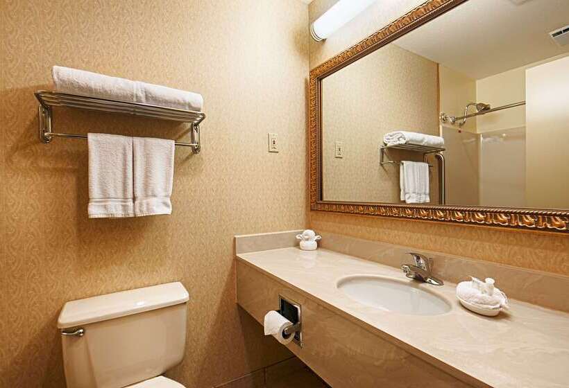 호텔 Best Western Inn & Suites