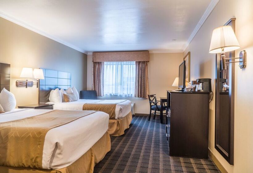 호텔 Best Western Inn & Suites